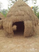 杭州西溪湿地旅游风景欣赏