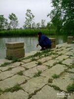 杭州西溪湿地旅游风景欣赏