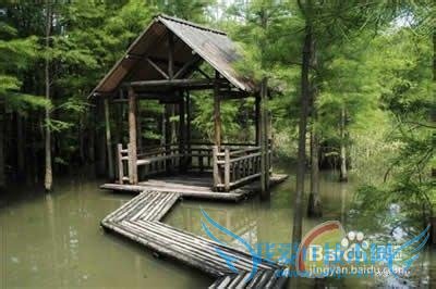 来南京必去的地方,旅游指南