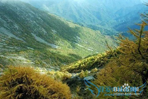 中国5大吓人旅游景区 你敢去吗?