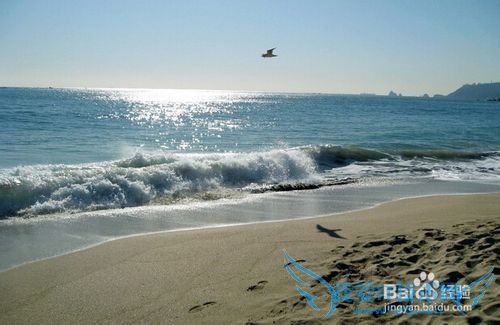 韩国四季最佳旅游时间精选讲解