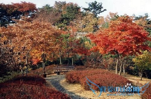 韩国四季最佳旅游时间精选讲解