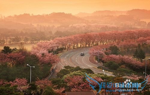 韩国四季最佳旅游时间精选讲解