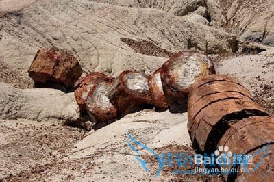 美国有哪些著名的旅游景点