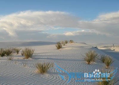 美国有哪些著名的旅游景点