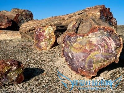 美国有哪些著名的旅游景点