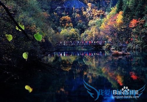 如何游九寨沟才叫划算