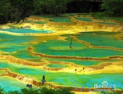 如何游九寨沟才叫划算