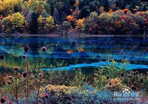 如何游九寨沟才叫划算