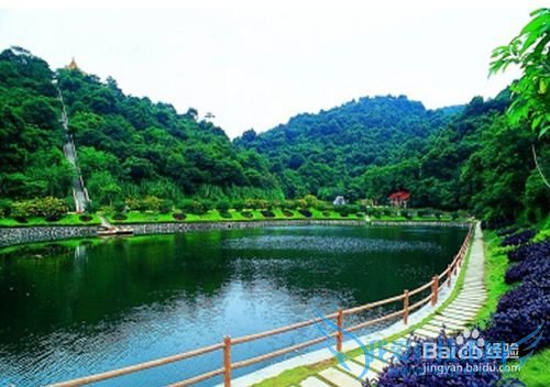 广州春天旅游攻略 广州春天去哪里玩