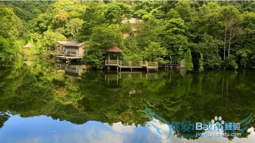 广州春天旅游攻略 广州春天去哪里玩