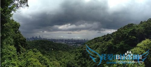 广州春天旅游攻略 广州春天去哪里玩