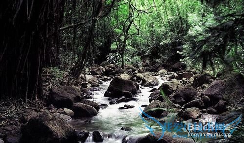 旅游迷路了怎么办