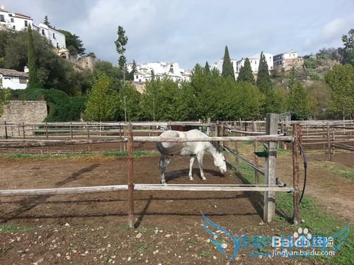 西班牙旅游攻略:龙达二