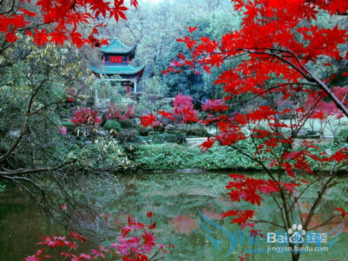 长沙有什么旅游景点