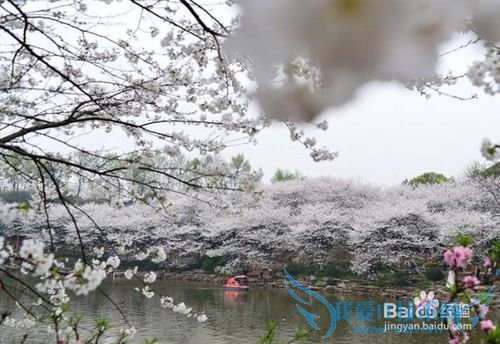 长沙有什么旅游景点