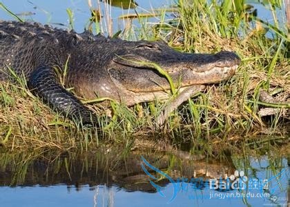 迈阿密有哪些著名的旅游景点