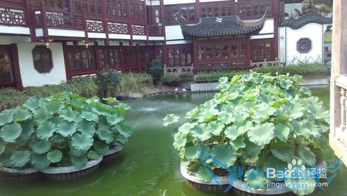 穷游上海两日游