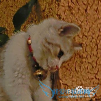 杭州旅游住客栈哪里比较好