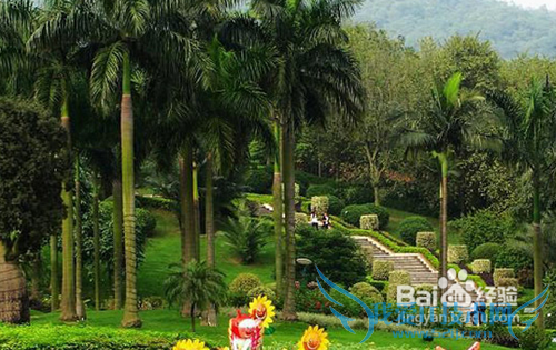 广东省旅游攻略-?广州