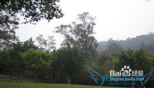 广东省旅游攻略-?广州