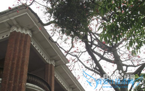 广东省旅游攻略-?广州