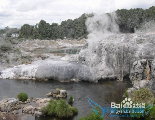 新西兰旅游攻略之2012年版