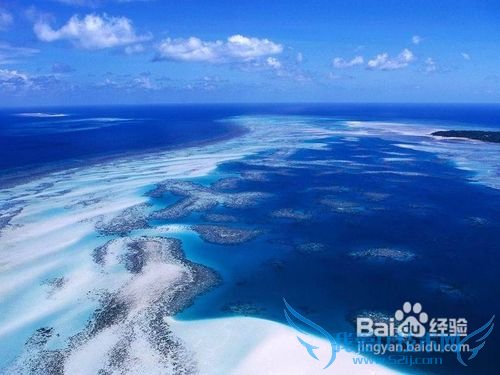 新西兰旅游攻略之2012年版