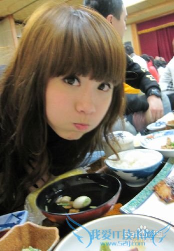 新西兰旅游攻略之2012年版