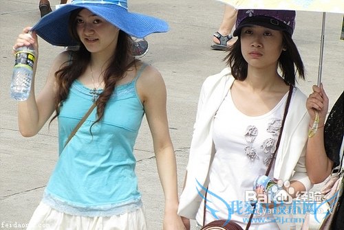 新西兰旅游攻略之2012年版