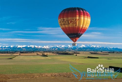 新西兰旅游攻略之2012年版