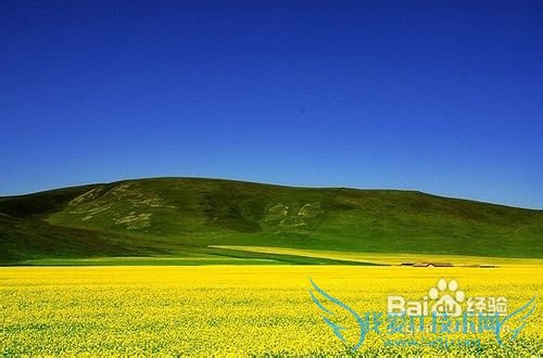 七月份去哪旅游好_七月份旅游攻略