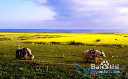 七月份去哪旅游好_七月份旅游攻略