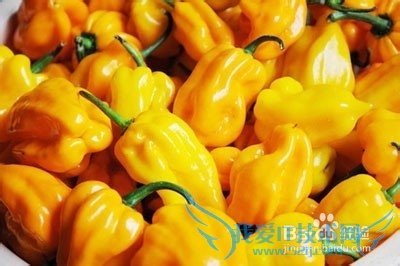 定安旅游全攻略