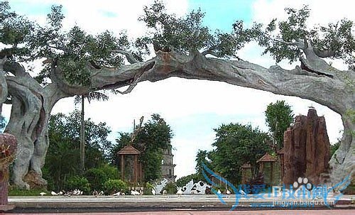 定安旅游全攻略