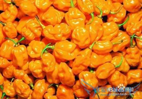 定安旅游全攻略