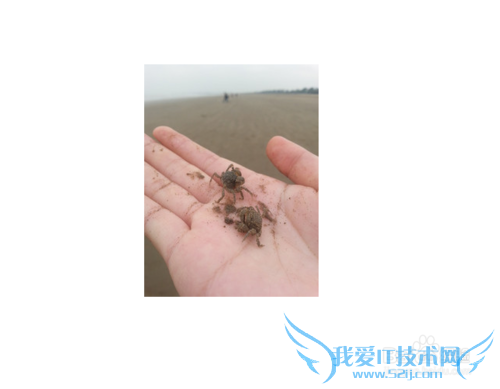 珠海金沙滩旅游攻略