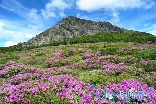 济州岛必去的五大旅游胜地