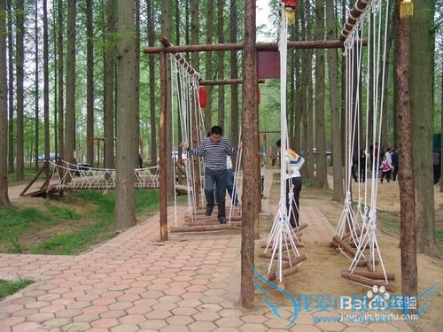 日照森林公园吃住行玩攻略-日照旅游攻略