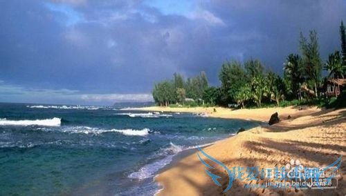 日照森林公园吃住行玩攻略-日照旅游攻略