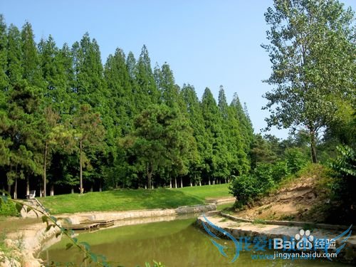 日照森林公园吃住行玩攻略-日照旅游攻略