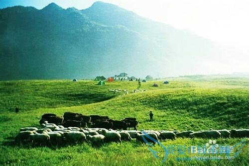 武隆仙女山旅游攻略