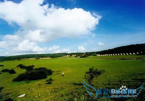 武隆仙女山旅游攻略