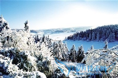 武隆仙女山旅游攻略