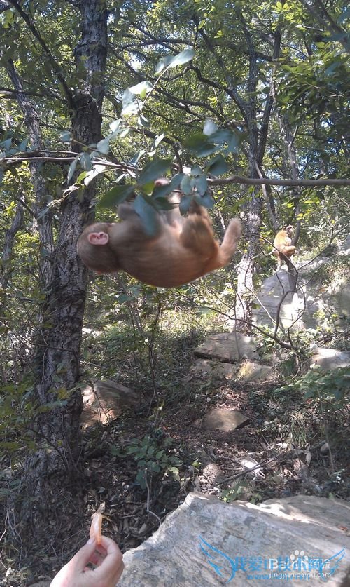 连云港花果山游玩介绍