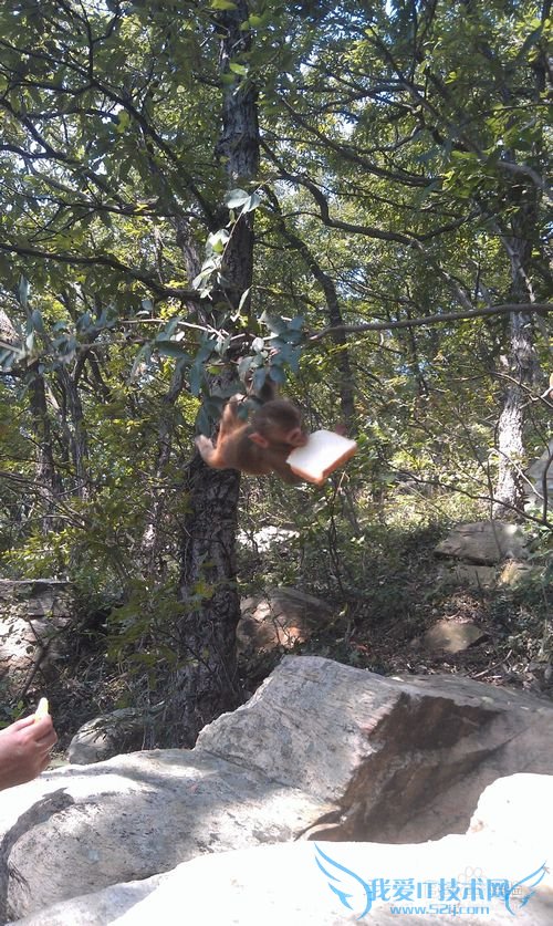 连云港花果山游玩介绍