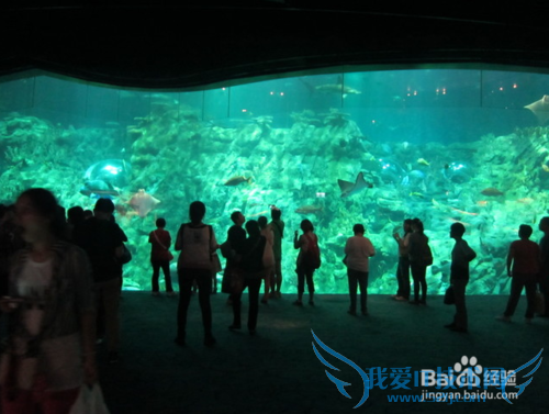 香港旅游亲身游攻略