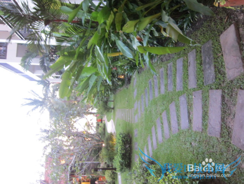 香港旅游亲身游攻略