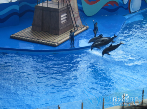 香港旅游亲身游攻略