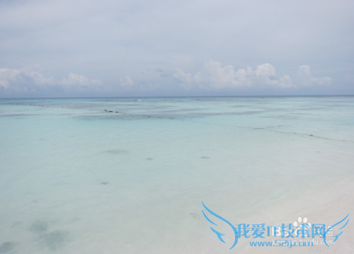 香港旅游亲身游攻略